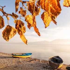 Pogradec Image